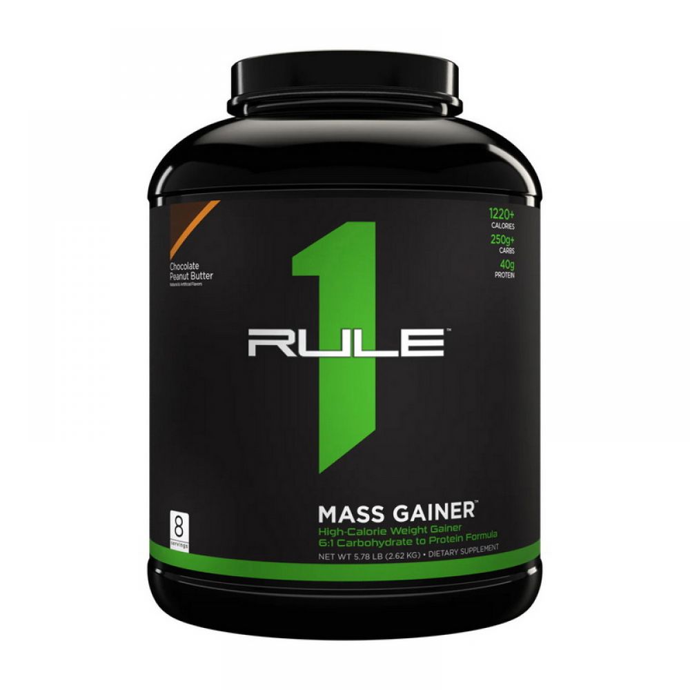 Mass Gainer (2,6 kg, chocolate fudge)