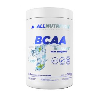 BCAA Instant Max Support (500 g, raspberry)