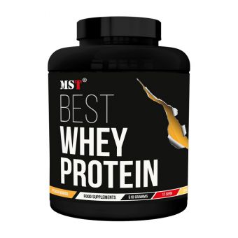 Best Whey Protein + Enzyme (510 g, vanilla ice cream)