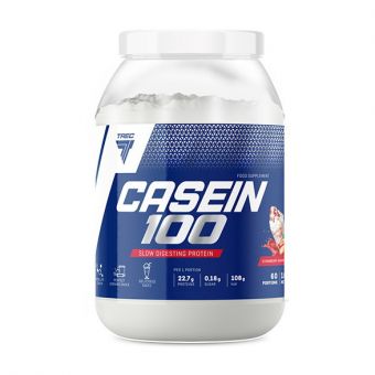 Casein 100 (600 g, chocolate)