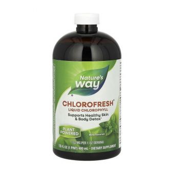Chlorofresh Liquid Chlorophyll (480 ml, mint)