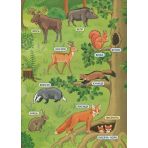 Енциклопедія з наліпками. Лісові тварини та рослини