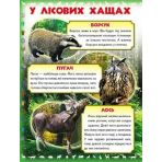 Моя перша книга. Про диких тварин