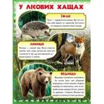 Моя перша книга. Про диких тварин