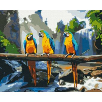 Картини за номерами "Тропічні ара"