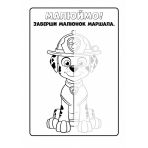 Щенячий Патруль. Кольорові пригоди. Активіті-розмальовка. Разом ми сила!