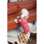 Комбинезон Pet Fashion Cherry L девочка для собак