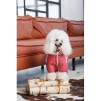 Комбинезон Pet Fashion Cherry L девочка для собак