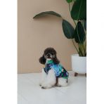 Жилет Pet Fashion Grass для собак розмір M