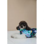 Жилет Pet Fashion Grass для собак размер S