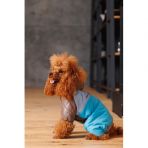 Комбинезон Pet Fashion Сharlie L для собак