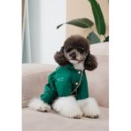 Комбинезон Pet Fashion EGO М2 зеленый для собак