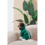 Комбинезон Pet Fashion EGO S зеленый для собак