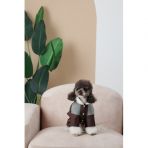 Костюм Pet Fashion Locky М2 для собак