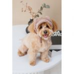 Шапка Pet Fashion Valley для собак размер M