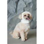 Шапка Pet Fashion Teddy для собак размер S