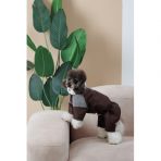 Костюм Pet Fashion Locky М для собак