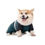 Комбинезон Pet Fashion Den для собак XS такса