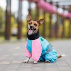 Комбинезон Pet Fashion Milly девочка для собак L корги