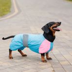 Комбинезон Pet Fashion Milly девочка для собак L корги