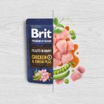 Корм вологий Brit Premium Fillets in Gravy Multipack для собак малих порід філе в соусі Мультипак 12 шт х 85 г