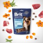 Лакомства для собак Brit Premium Semi-moist Snacks Lamb with Sea Buckthorn полувлажные с ягненком и облепихой 180 г