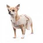 Сарафан Pet Fashion для собак Miya XS2