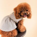 Сарафан Pet Fashion для собак Miya XS2