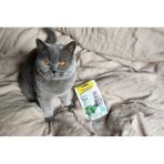 Витамизированные лакомства для кошек GimCat Cat-Mintips с кошачьей мятой, 40 г