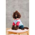 Костюм Pet Fashion Alisa для девочки размер XS2