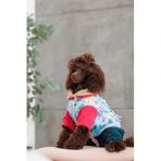 Костюм Pet Fashion Alisa для девочки размер XS2