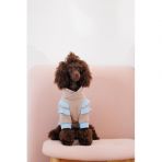 Худые Pet Fashion Home для девочек размер XS