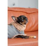 Шлея-жилет Pet Fashion Rob для собак розмір XS2