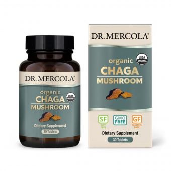 Органічний гриб Чага, Organic Chaga Mushroom, Dr. Mercola, 30 таблеток