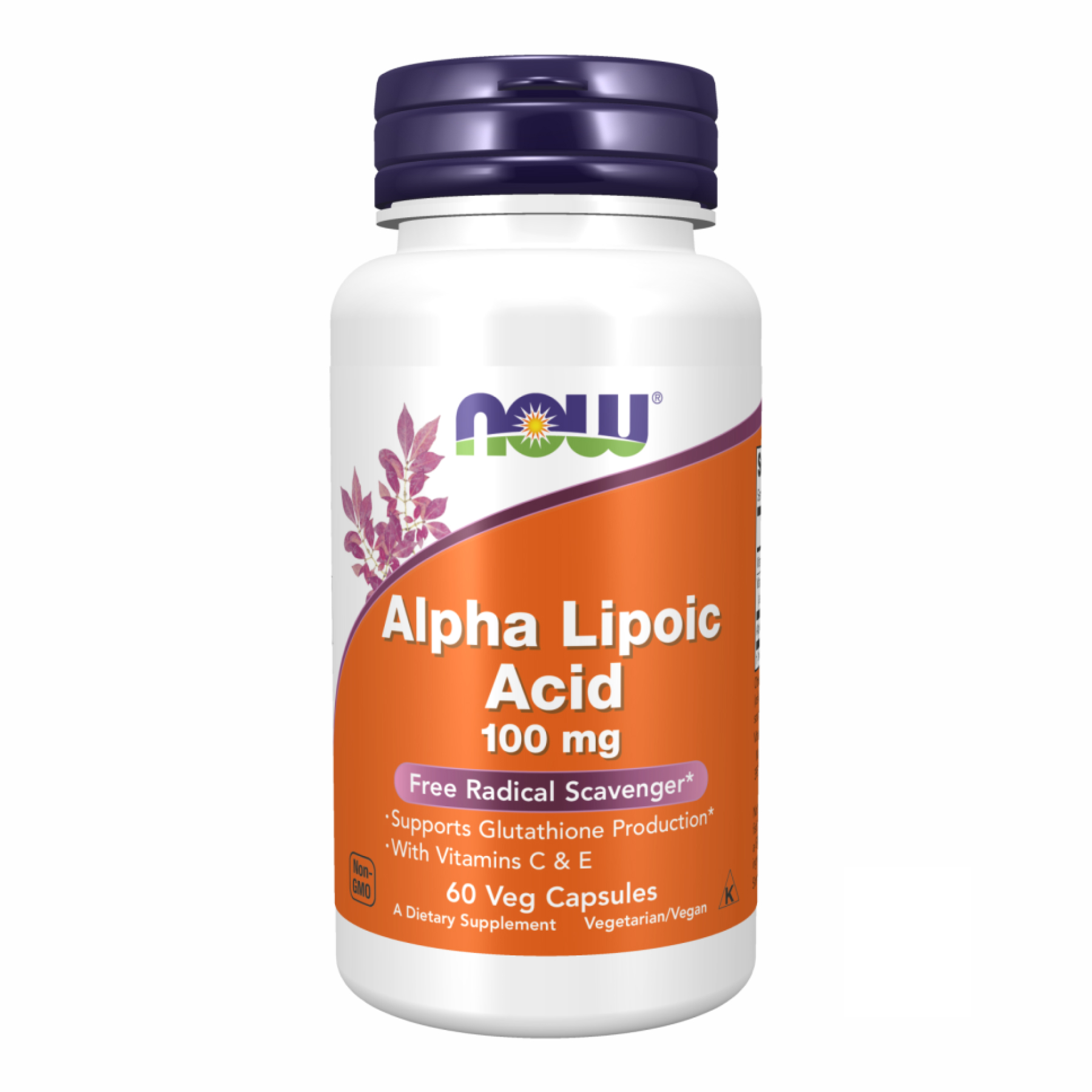 Alpha Lipoic Acid 100mg - 60vcaps