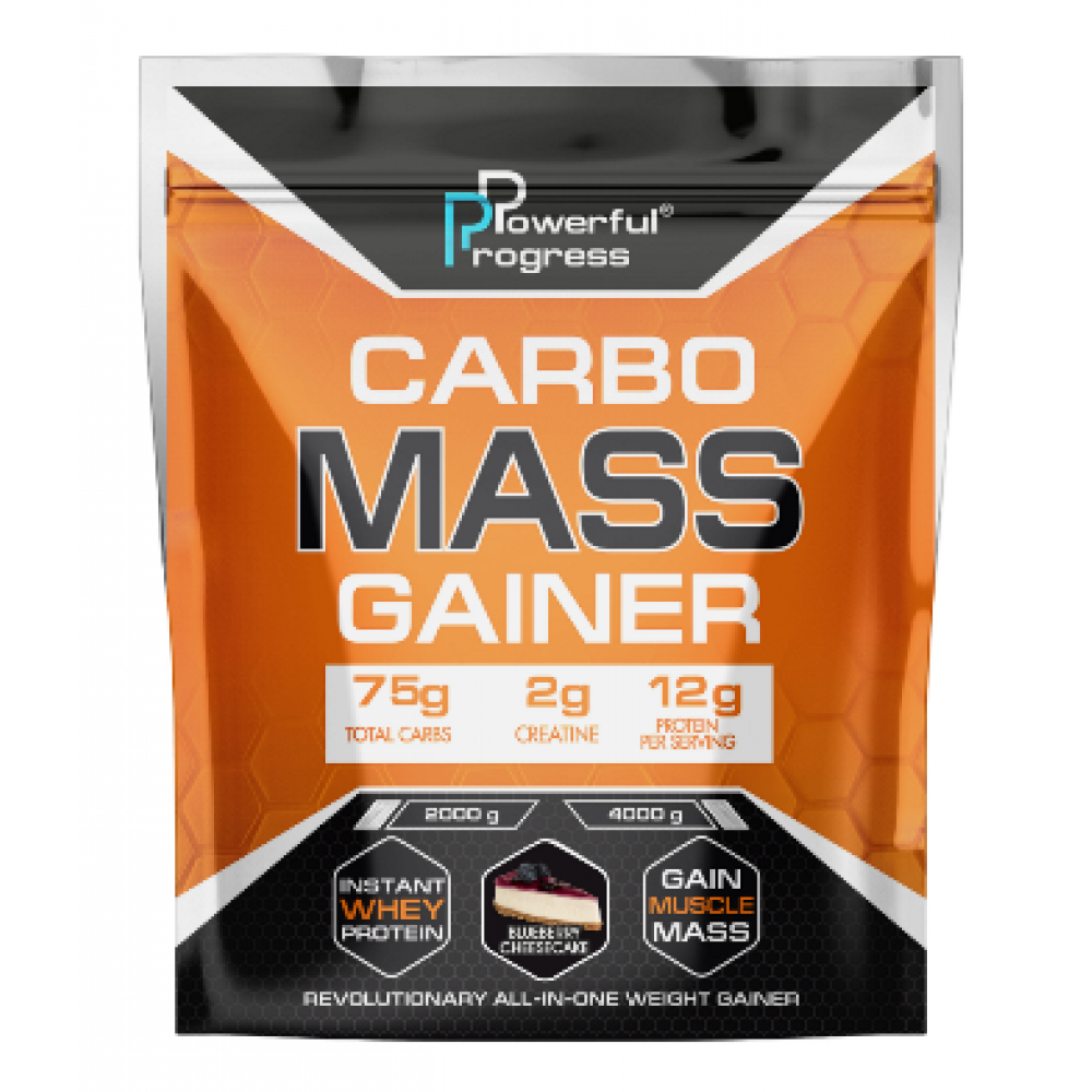 Carbo Mass Gainer - 2000g Blueberry Cheesecake