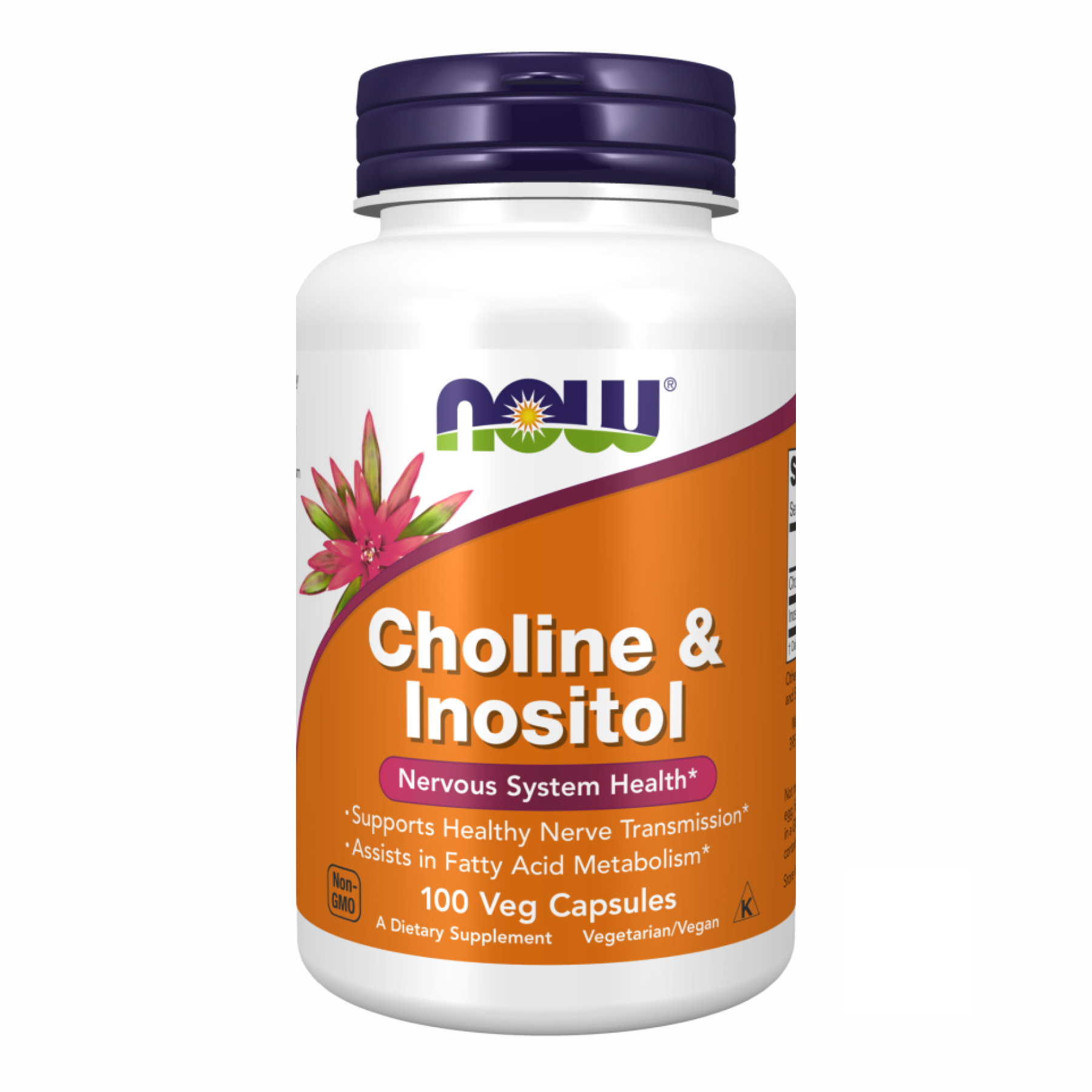 CHOLINE & INOSITOL 250/250mg - 100 vcaps