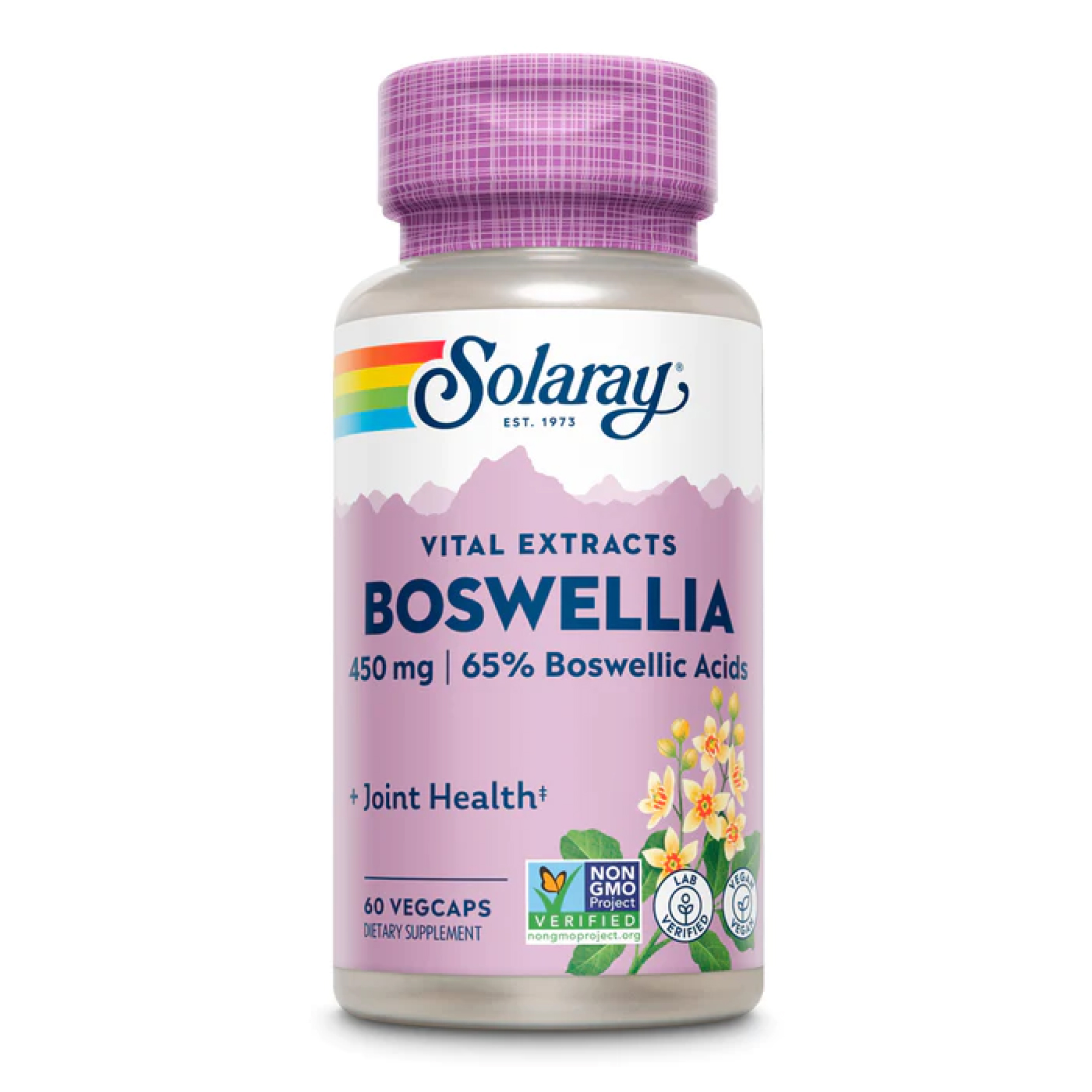 Boswellia Resin Extract 450mg - 60 vcaps