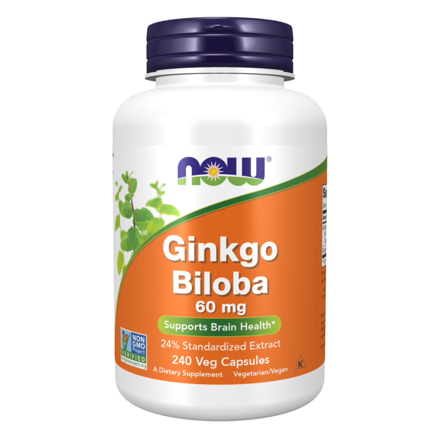 Ginkgo Biloba 60mg - 240 vcaps