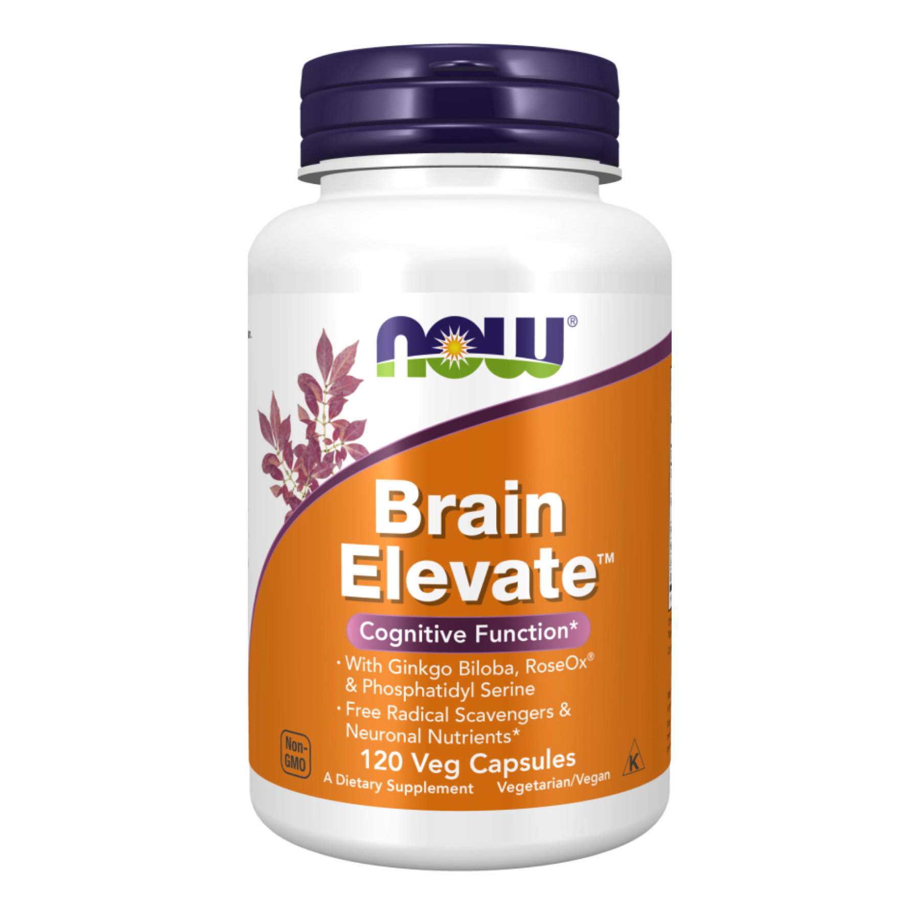 Brain Elevate Formula - 120 vcaps