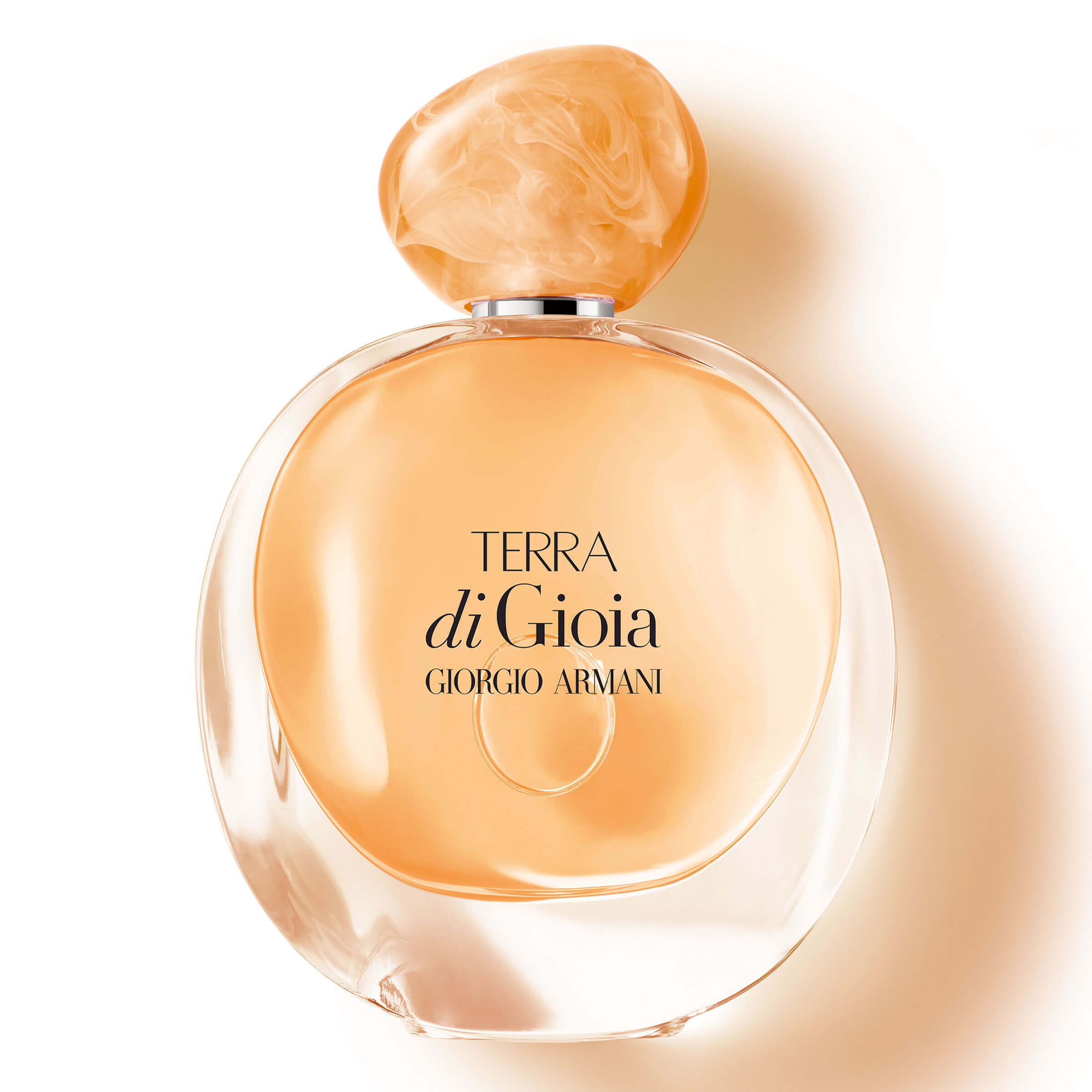 Парфюмированная вода Giorgio Armani Terra di Gioia для женщин