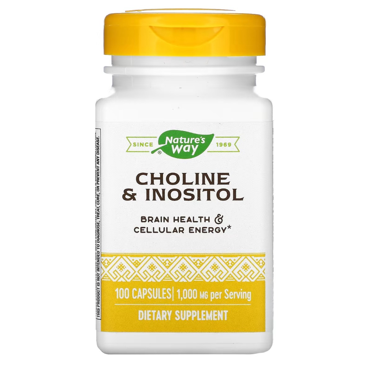 Холін та інозитол, 1000 мг, Choline & Inositol, Nature's Way, 100 капсул