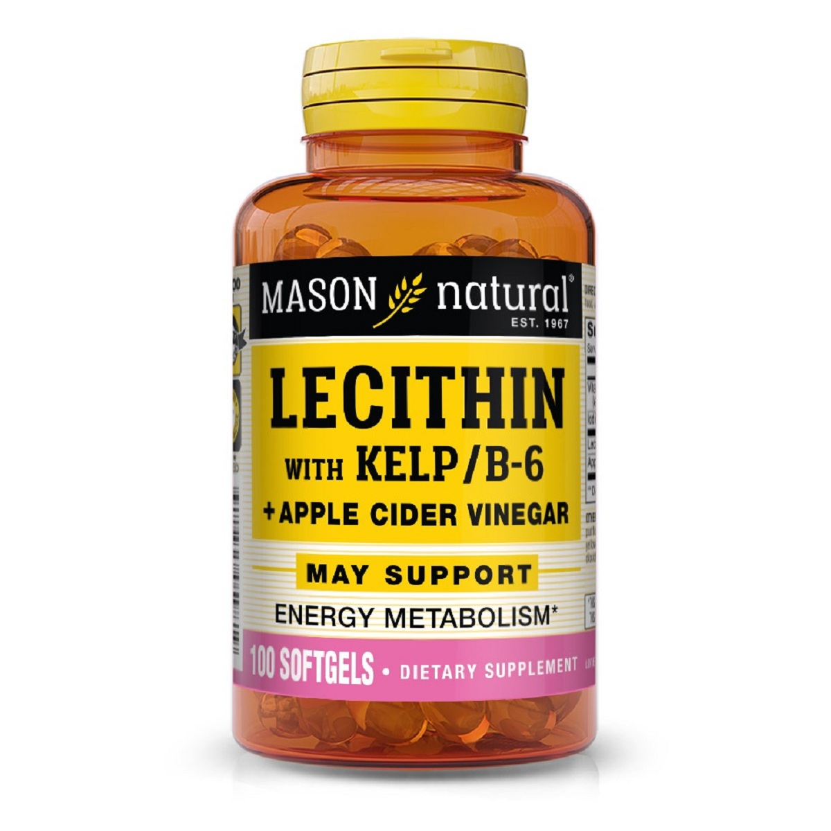 Лецитин з водоростями, Вітаміном B6 та яблучним оцтом, Lecithin With Kelp/Vitamin B 6 Plus Cider Vinegar, Mason Natural, 100 гелевих капсул