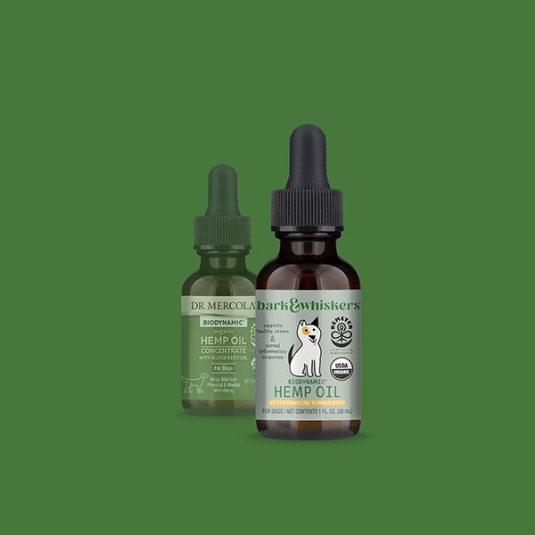 Конопляне масло для собак, Органічний концентрат, Organic Hemp Oil Concentrate for dogs, Dr. Mercola, 30 мл