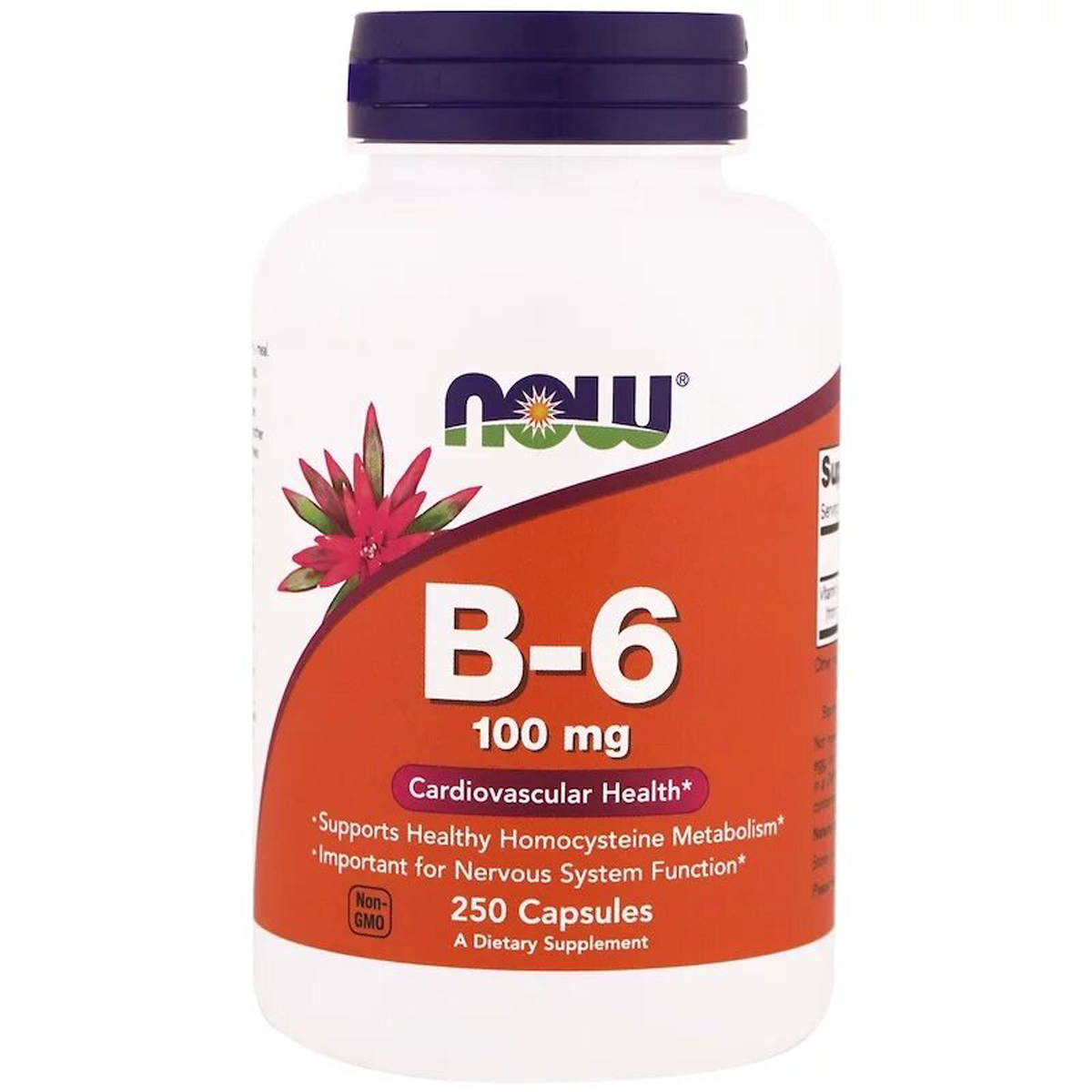 Вітамін В6 (Піридоксин), Vitamin B6, Now Foods, 100 мг, 250 капсул